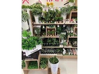 ダイソー千葉都町店(千葉県千葉市中央区/県庁前駅/その他(販売・サービス・アパレル系))_2